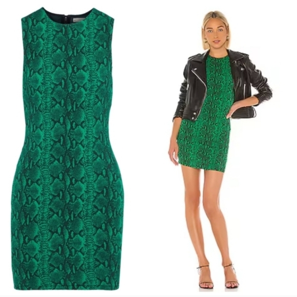 Alice + Olivia Dresses & Skirts - Alice + Oliva Delora Sleeveless Fitted Mini Dress Size 2